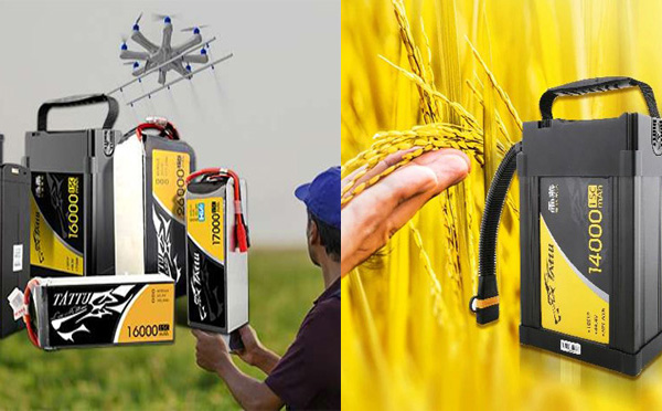 1774506978610614.jpg 309.jpg